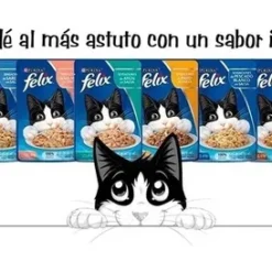 Alternative view of Pouch Purina Felix X 15 Pouch 85g Surtido Traviesospet#