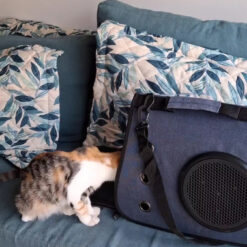 Alternative view of Bolso De Transporte Mascotas Gadnic De Hombro Con Ventana Red Azul