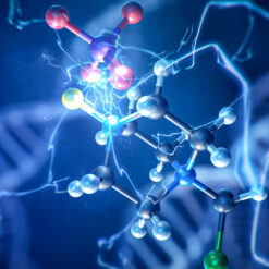 Peptidos