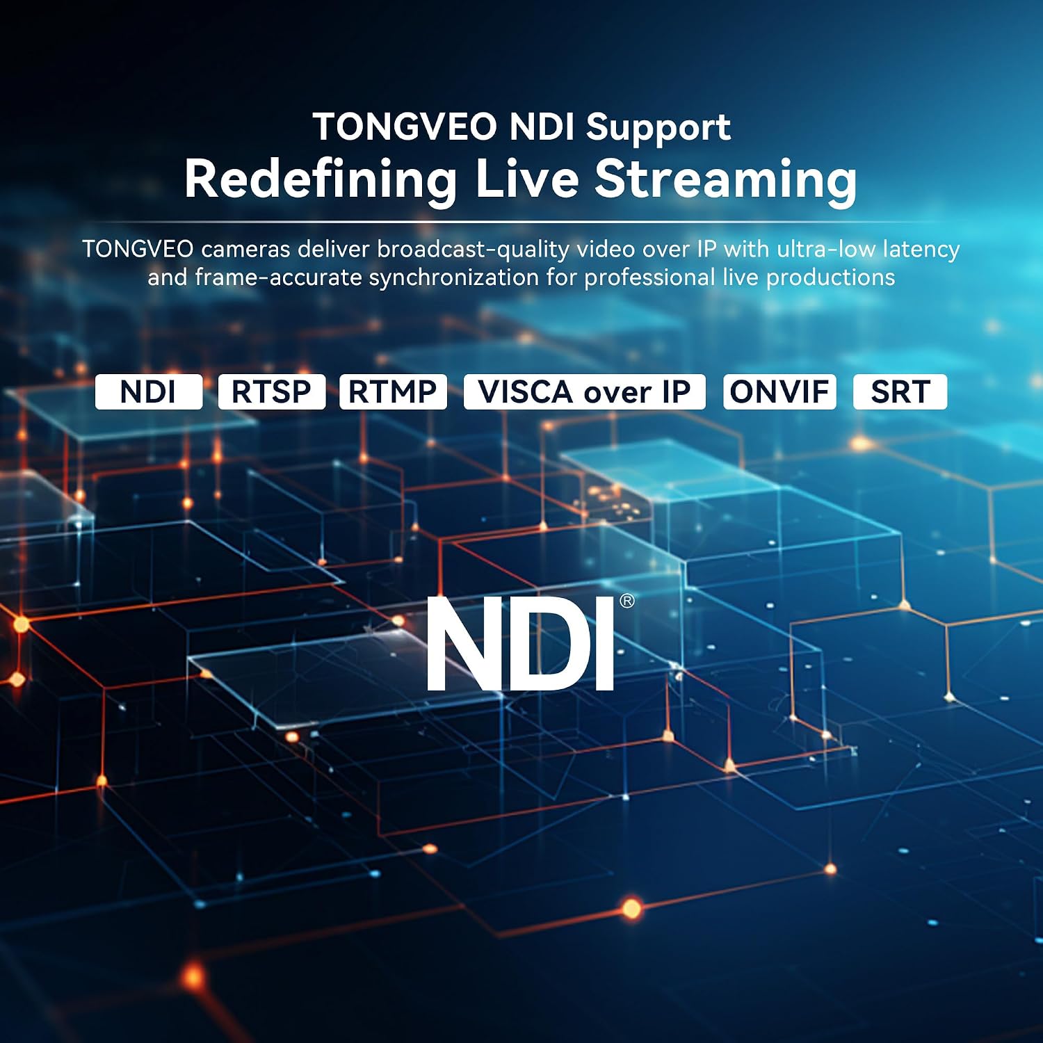 TONGVEO TV-NVS20A-4KN Cámara PTZ NDI 4K
